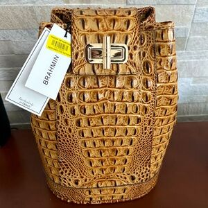 Beautiful Brahmin Bookbag